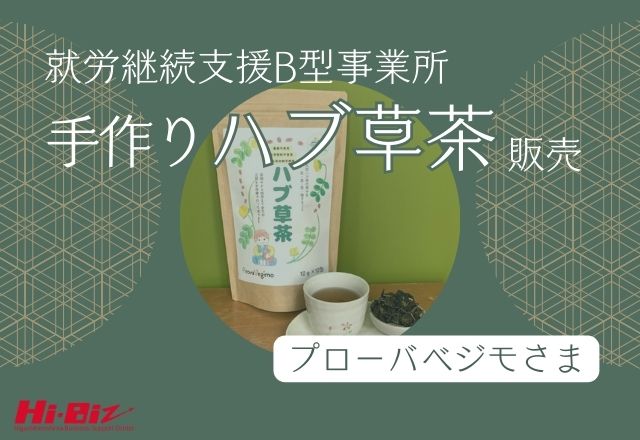 Hi-Biz相談者