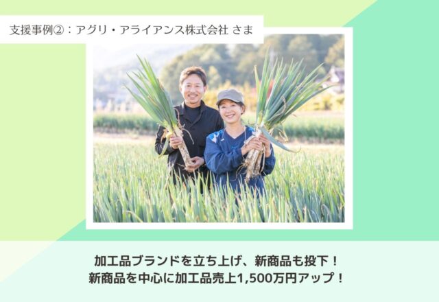 支援事例